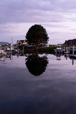 DSC07707