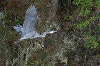 20260905-_SBA6816