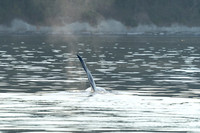 20260905-_SBA6922