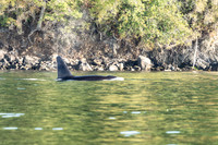 20260905-_SBA6867