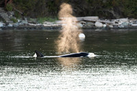 20260905-_SBA6949