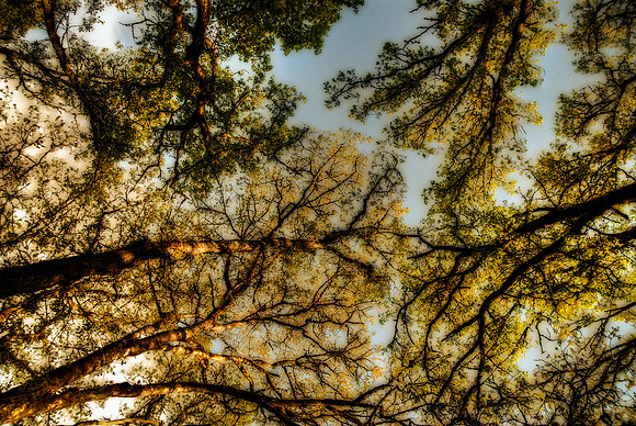 Looking up!