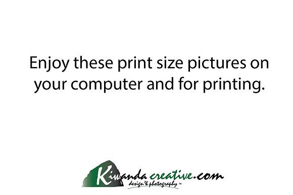 print size