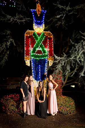 _DSC0169