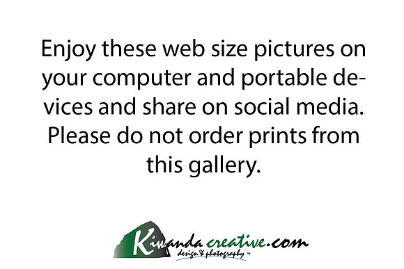 web size read first