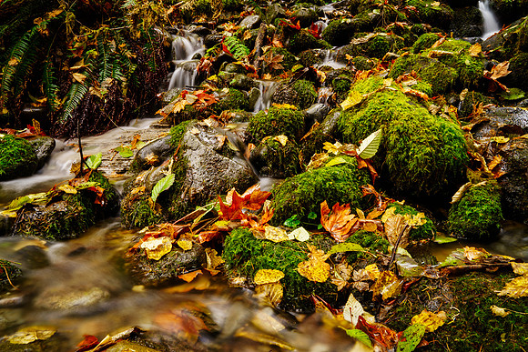 _SB12947-Edit